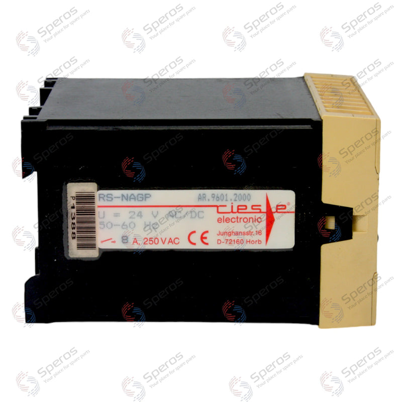 Riese Safety Relay RS-NAGP 9601.2000 24V AC