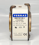 Ferraz Shawmut PROTISTOR Z300080
