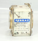 Ferraz Shawmut H300065 Protistor